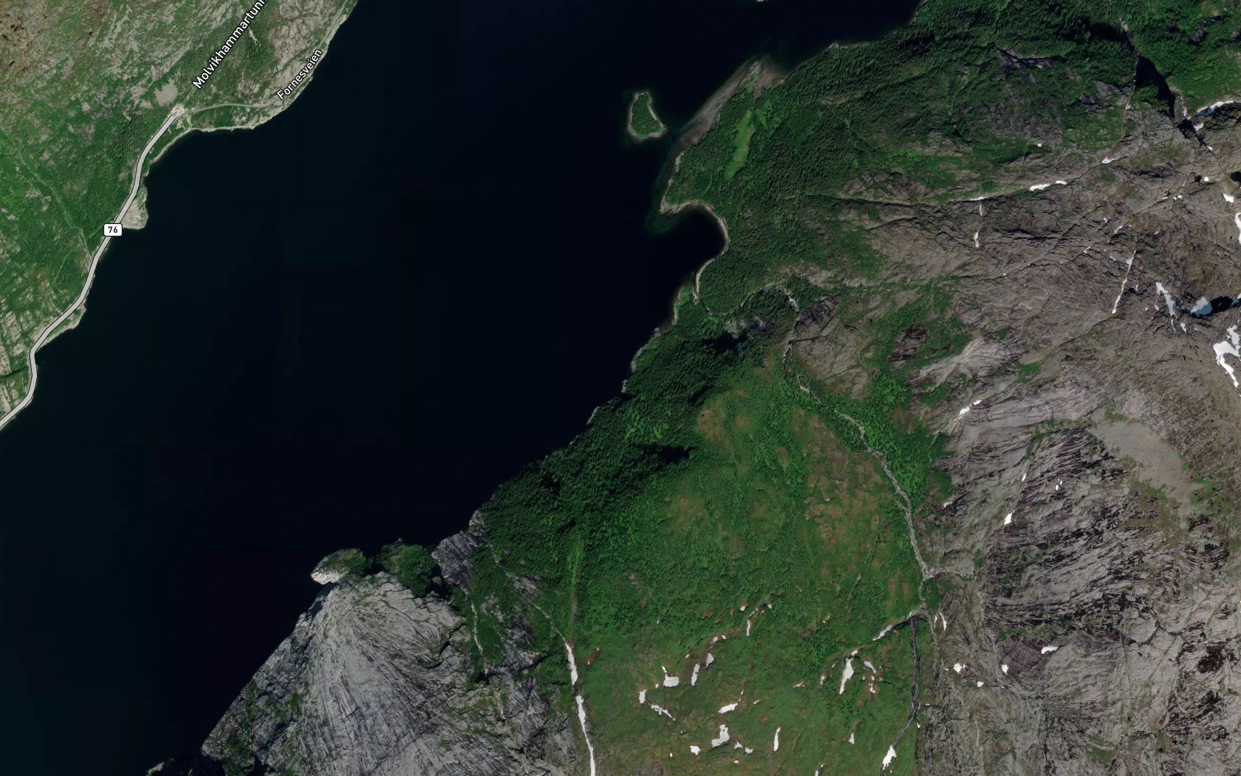 Larsvika