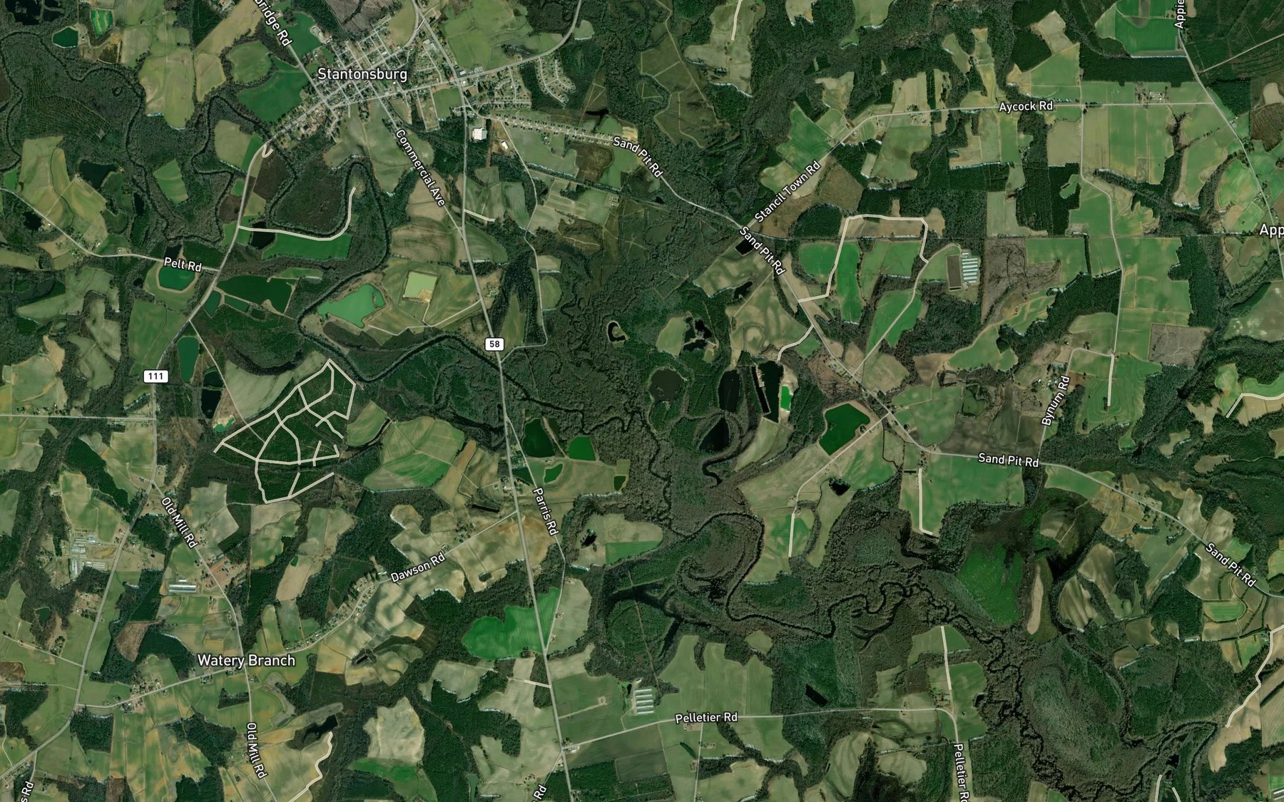 Satellite map of the Toisnot Swamp