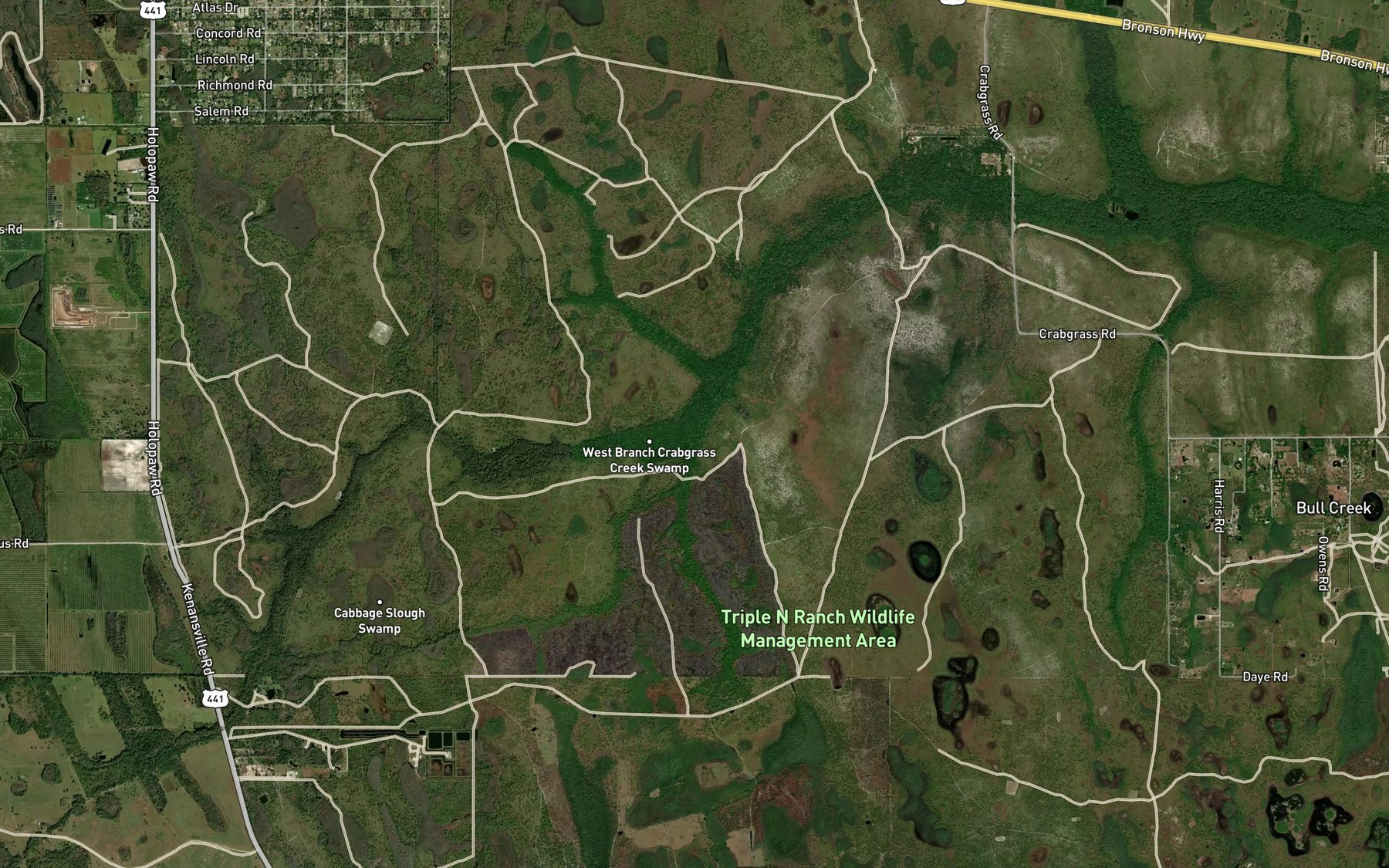 Satellite map of the Boggy Branch