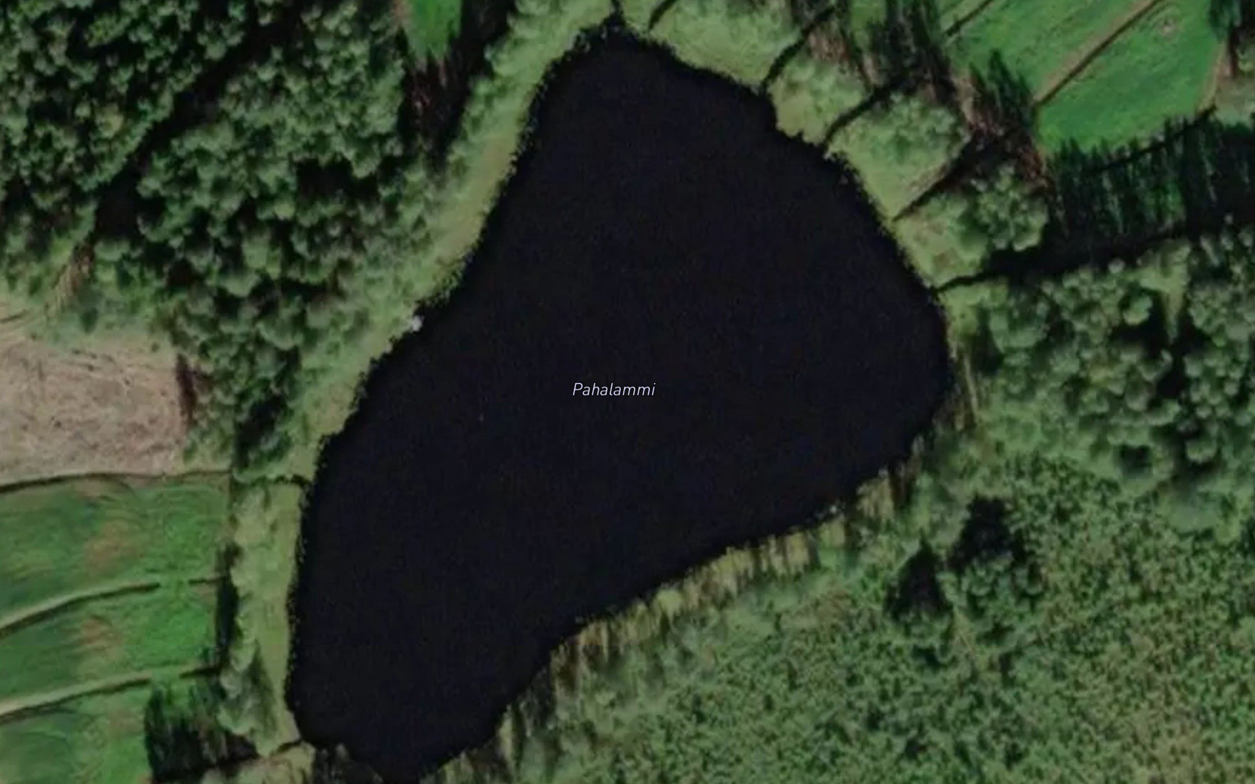 Pahalammi
