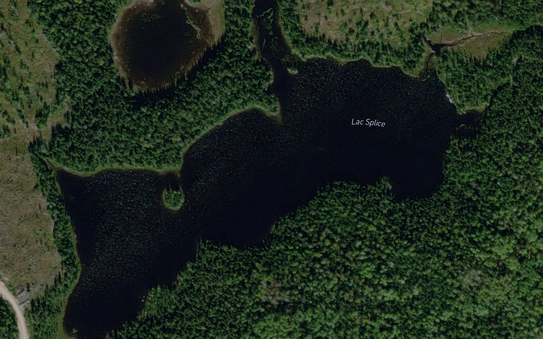 Satellite map of the Lac Splice