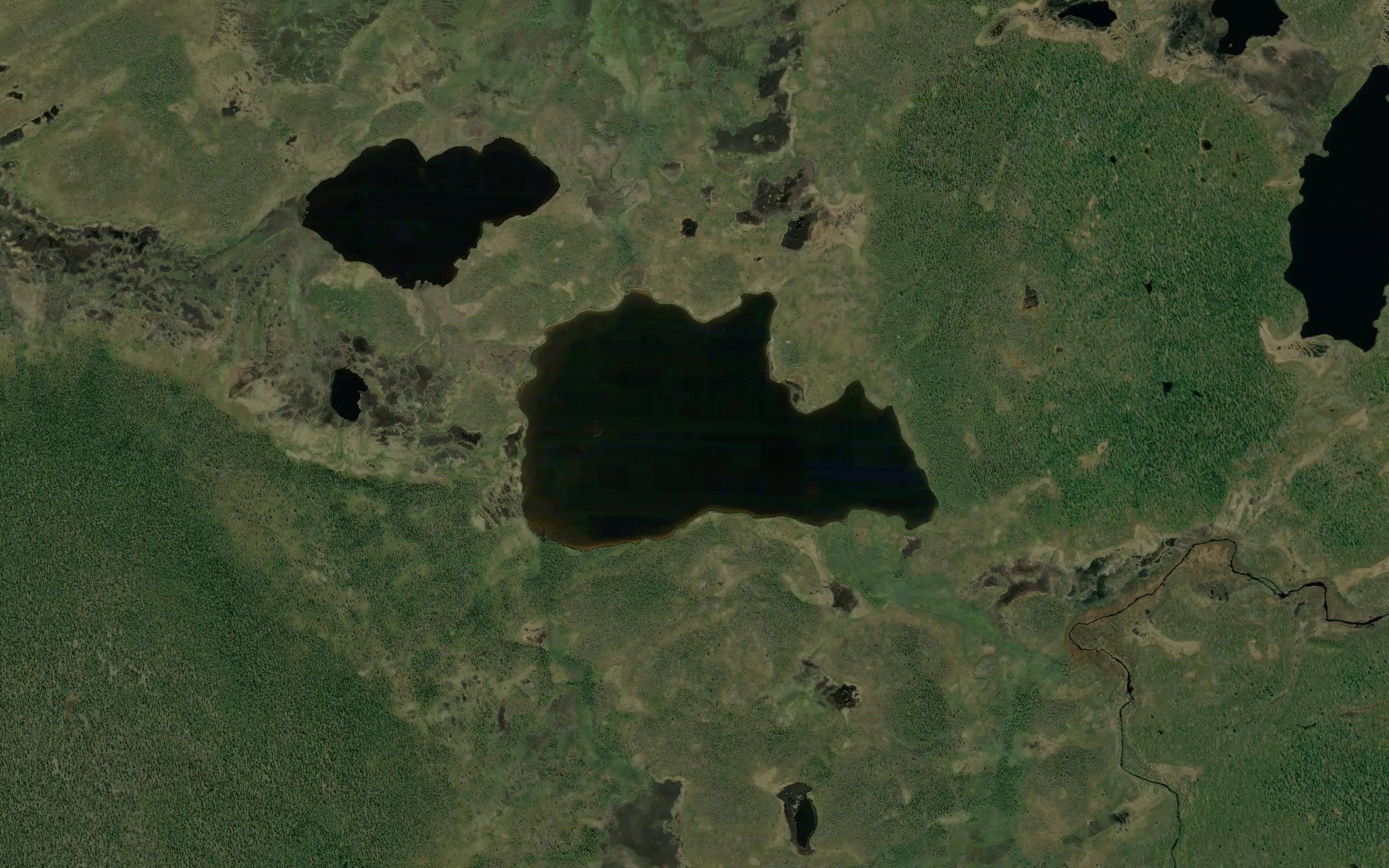 Kotijaervi