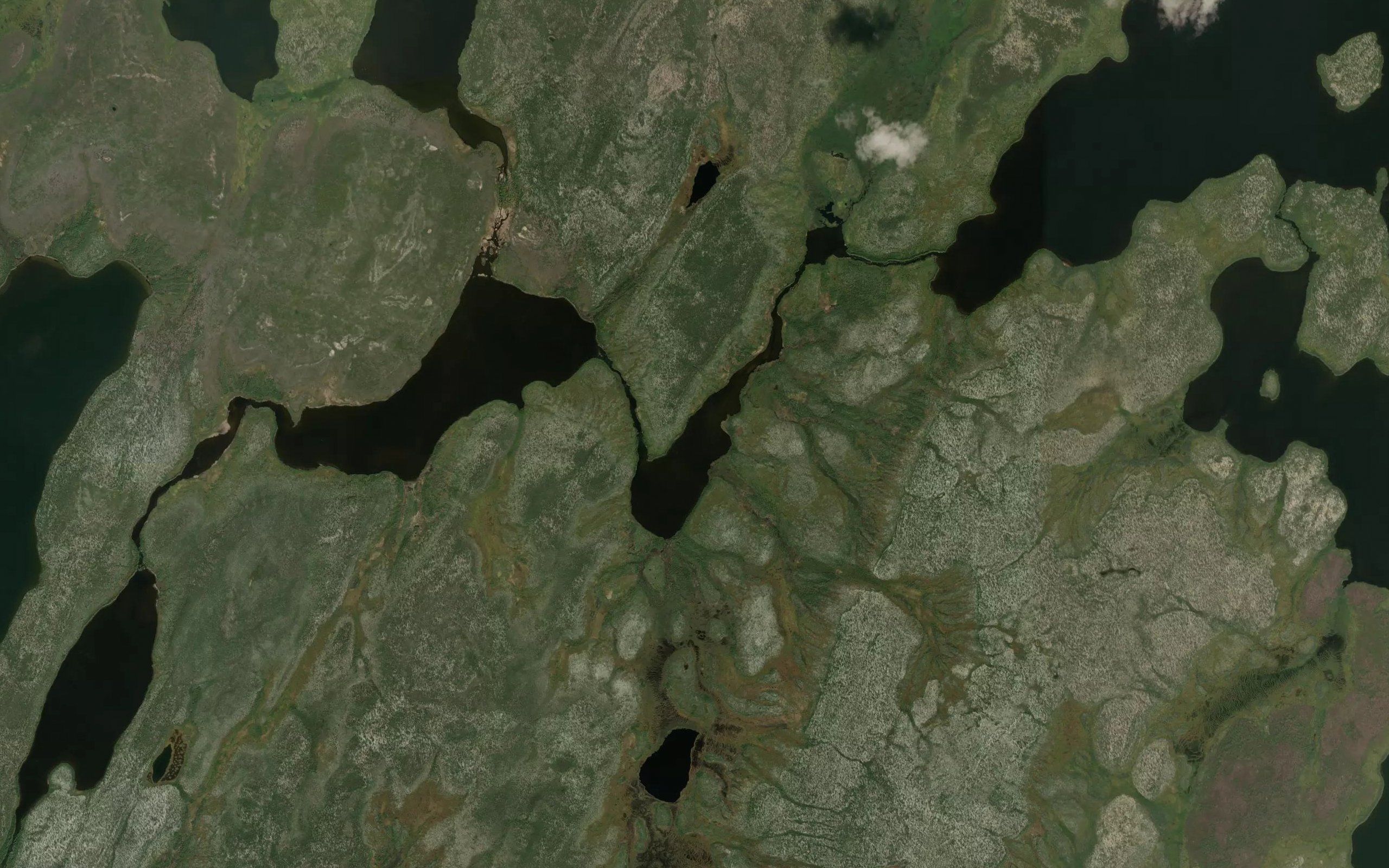Niska Lake