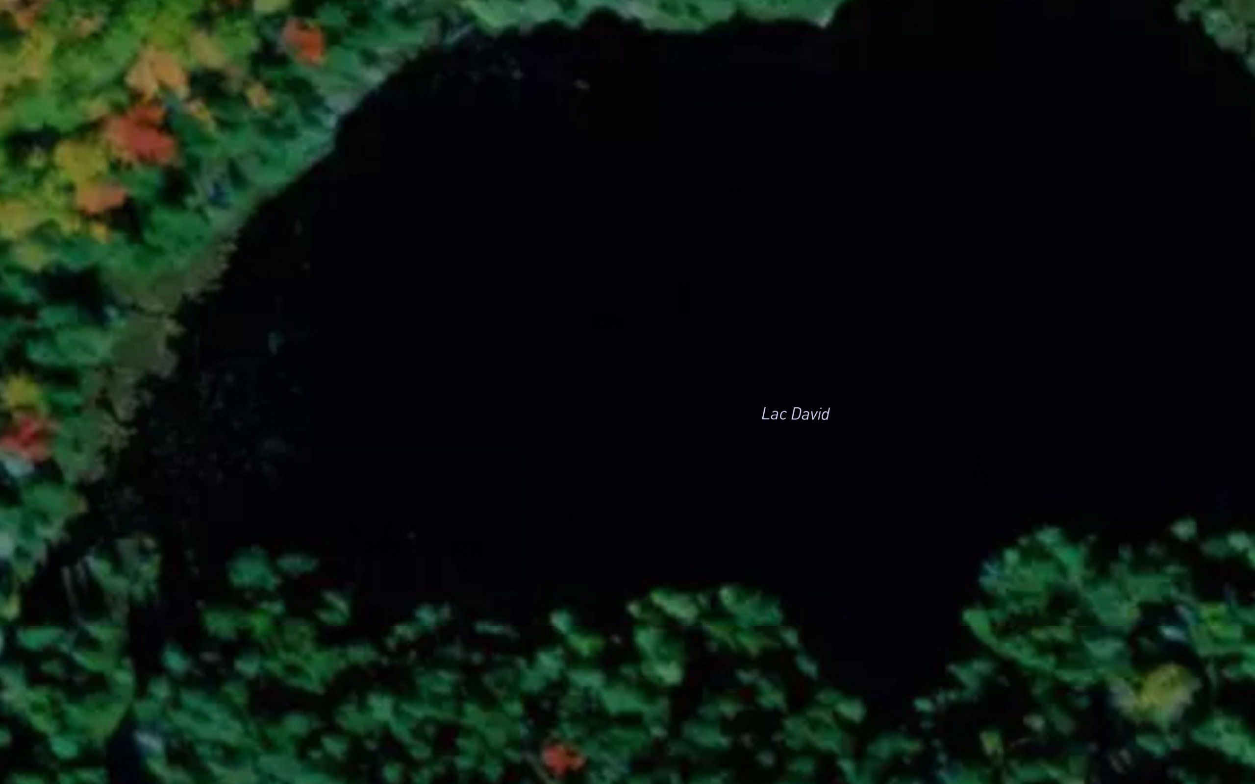 Lac David