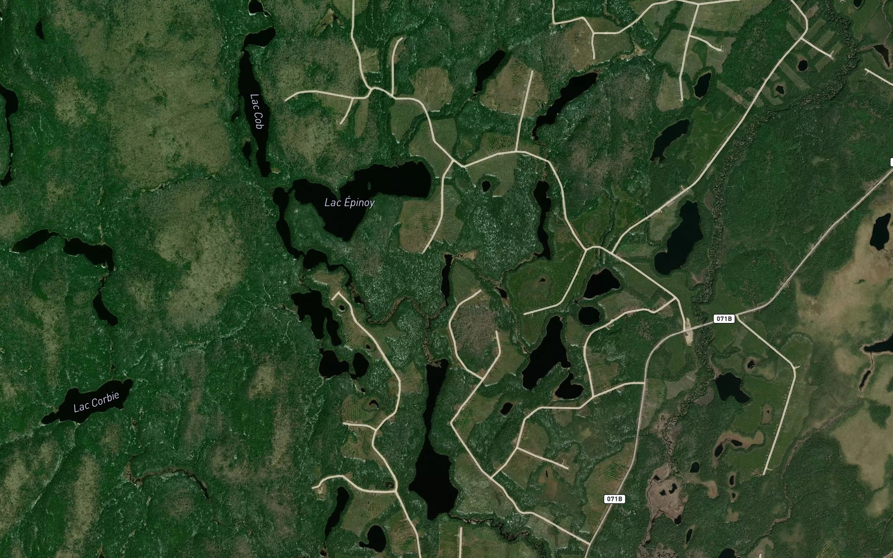 Satellite map of the Lac Raix
