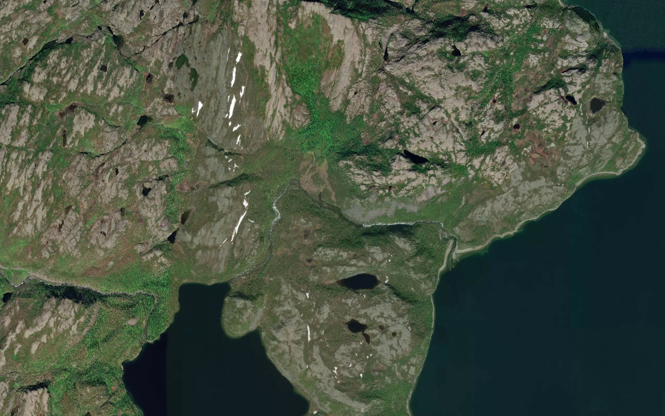Matselva