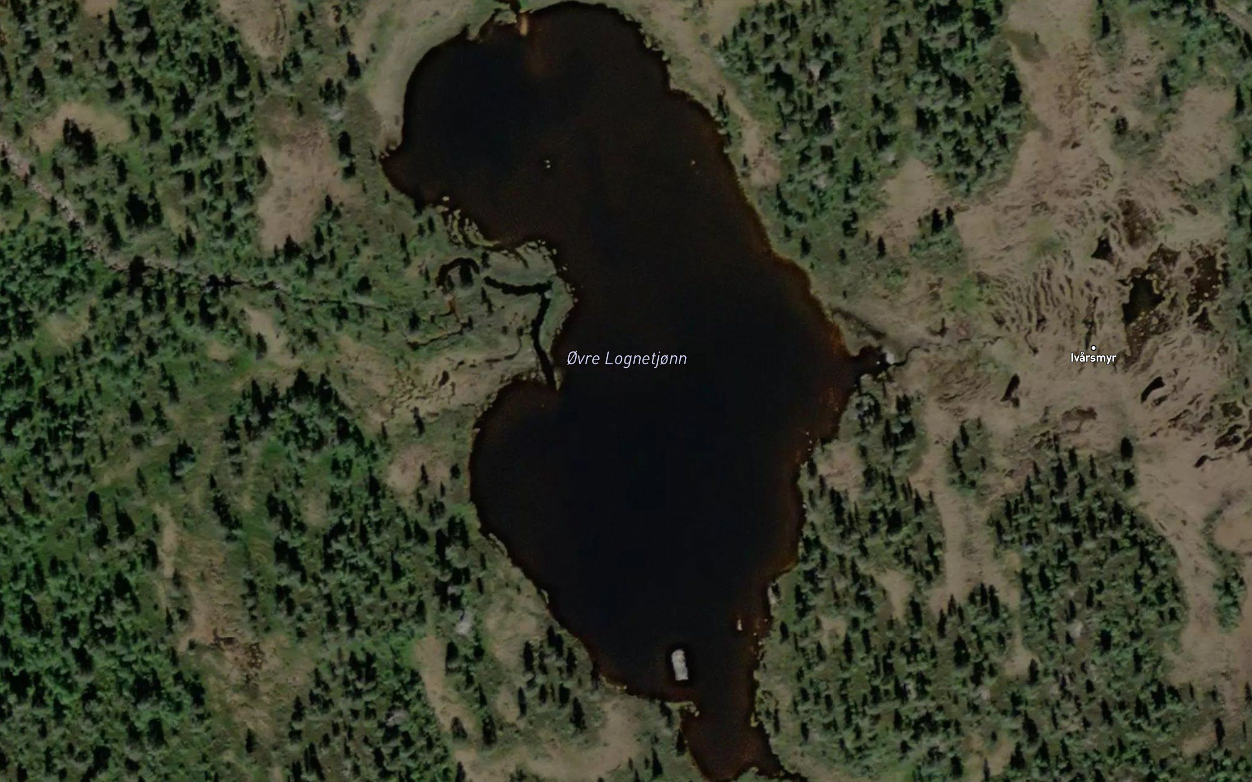 Lognetjornin