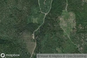 Molly Creek