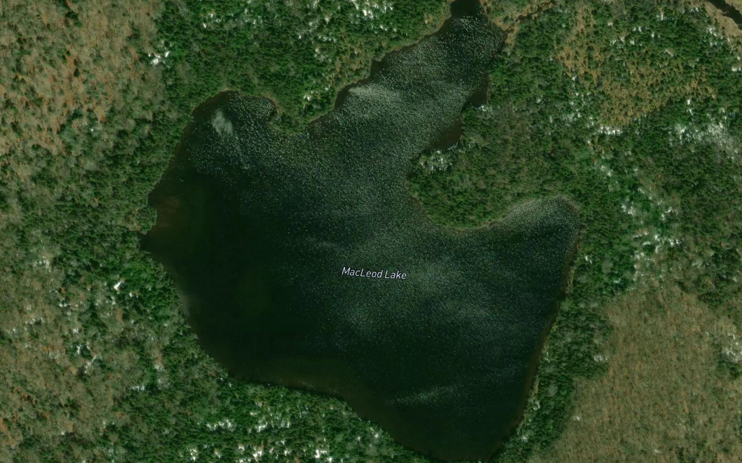 MacLeod Lake