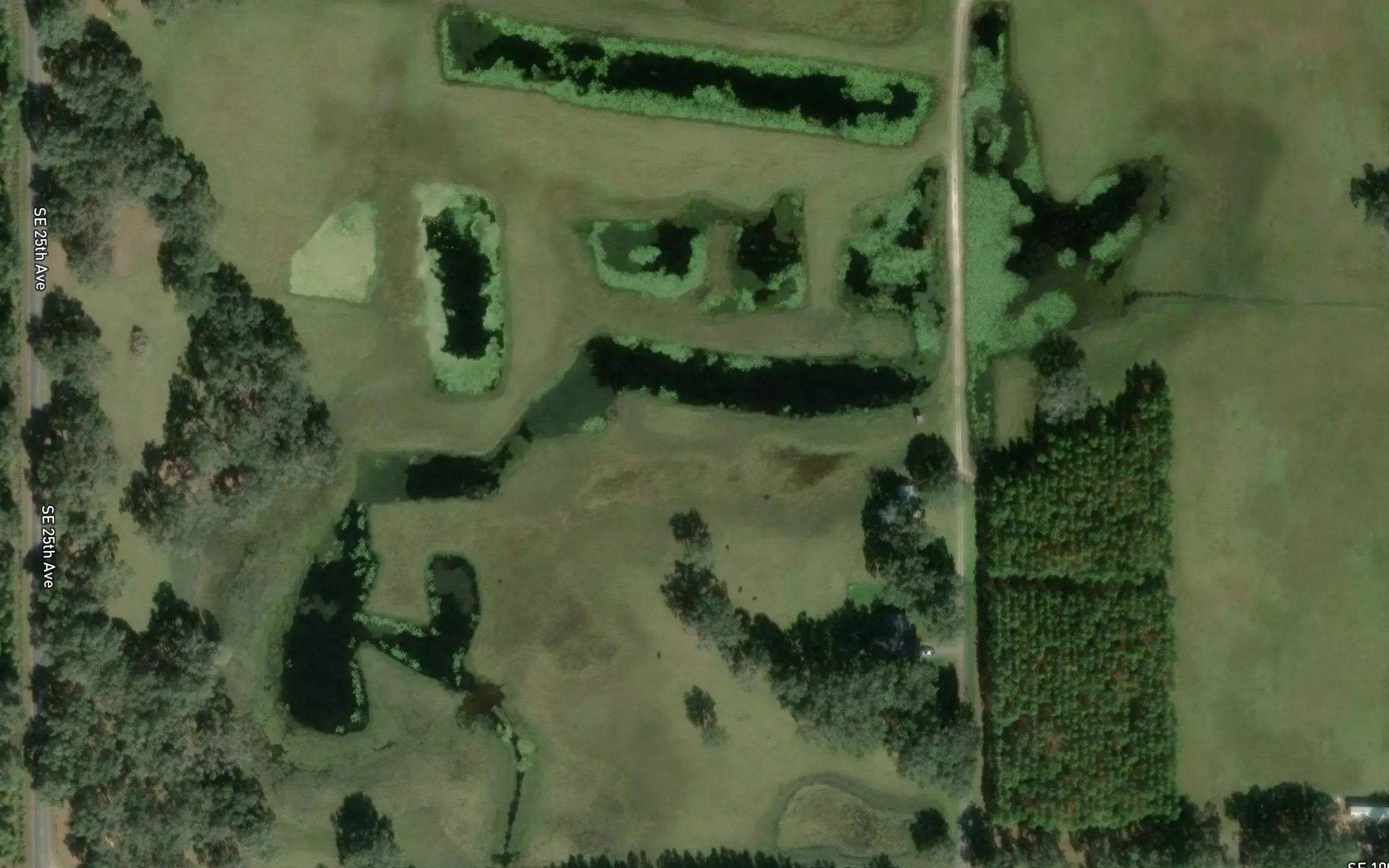 Raulison Pond