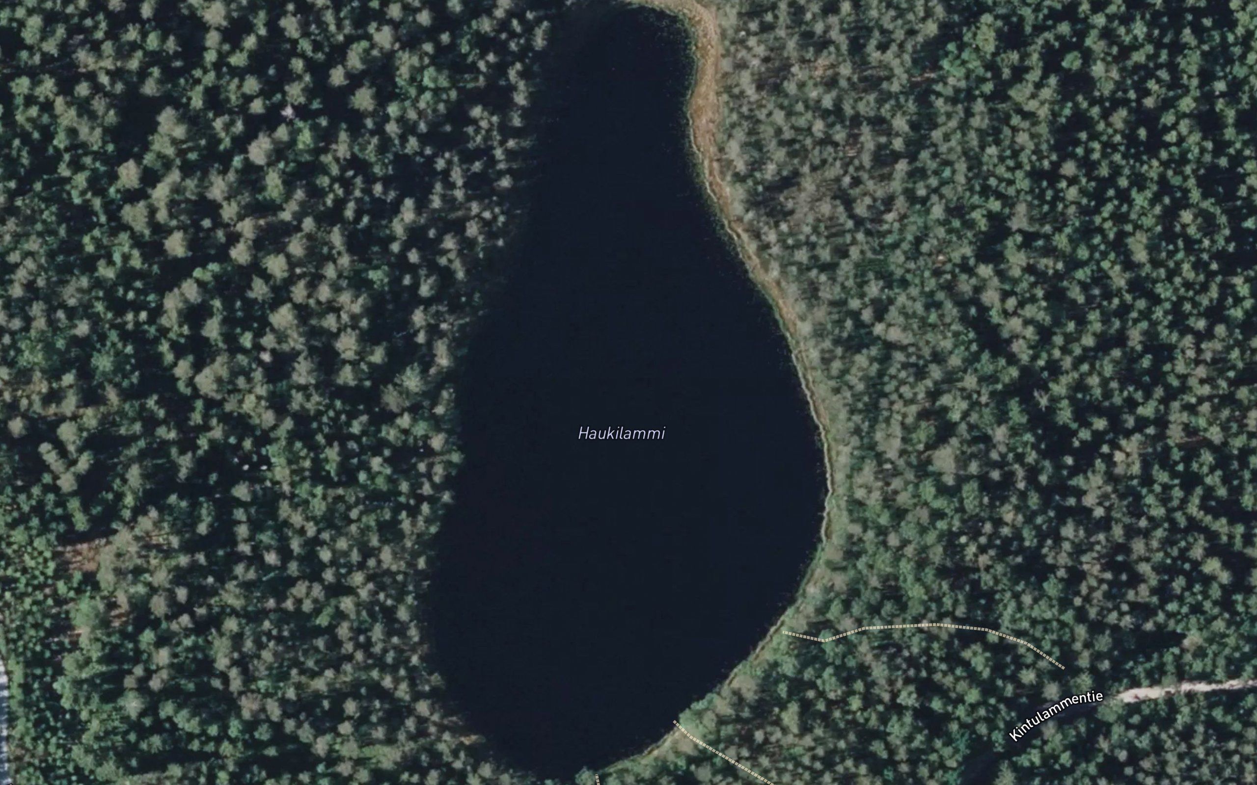 Haukilammi