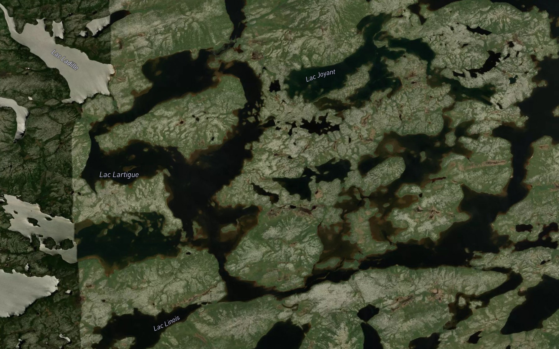 Satellite map of the Lac Lartigue