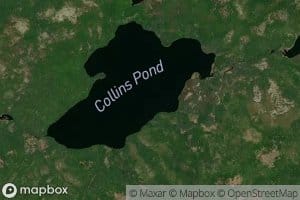 Collins Pond