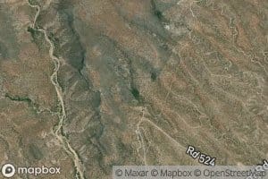 Kidde Spring