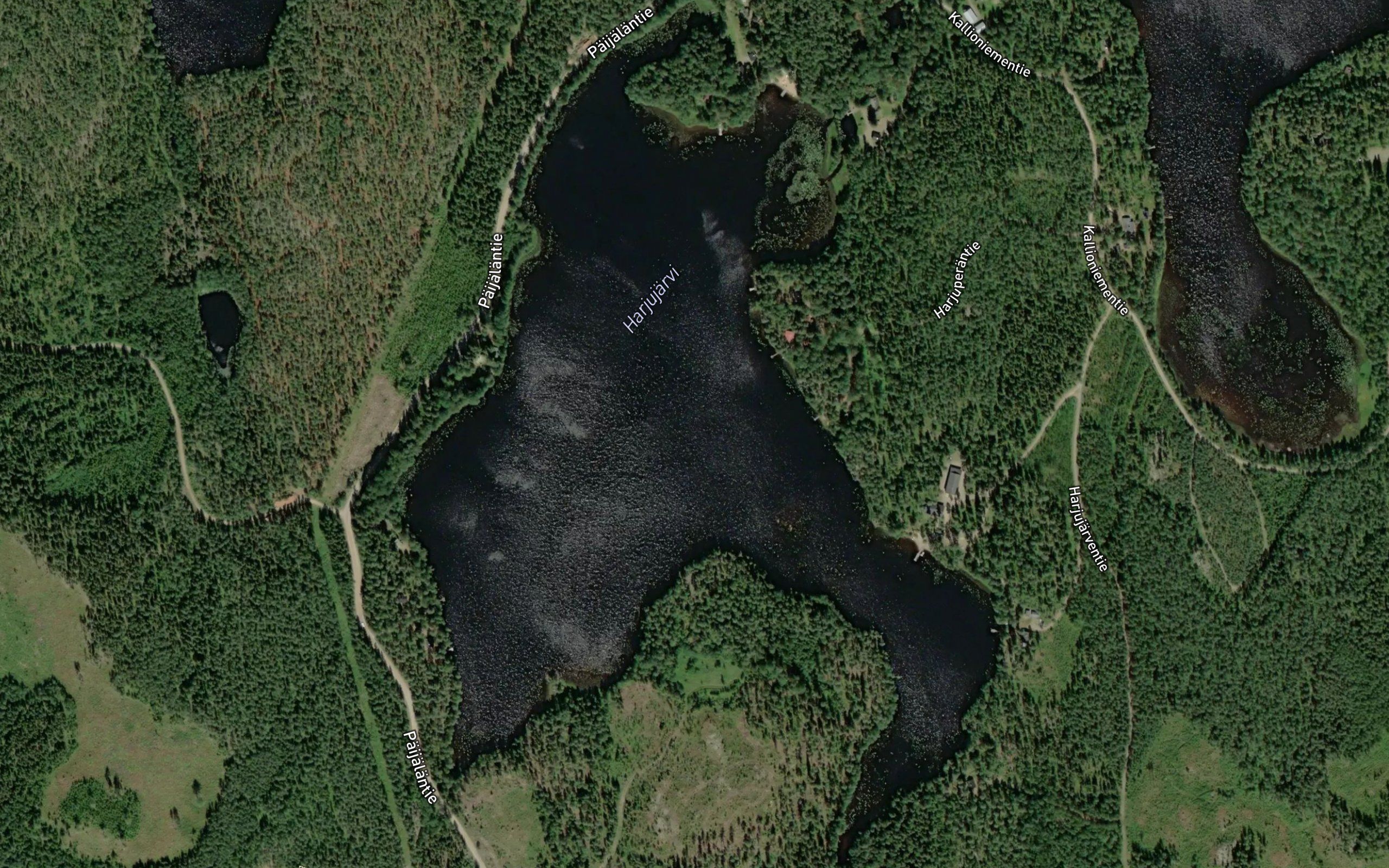 Harjujarvi