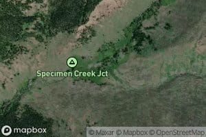 East Fork Specimen Creek