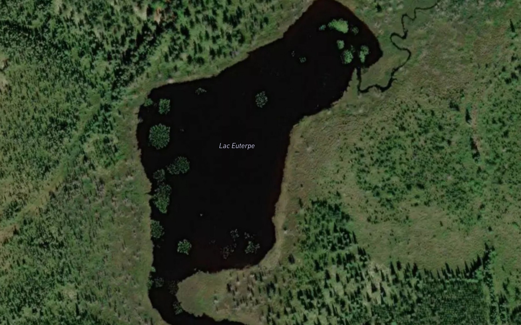Satellite map of the Lac Euterpe