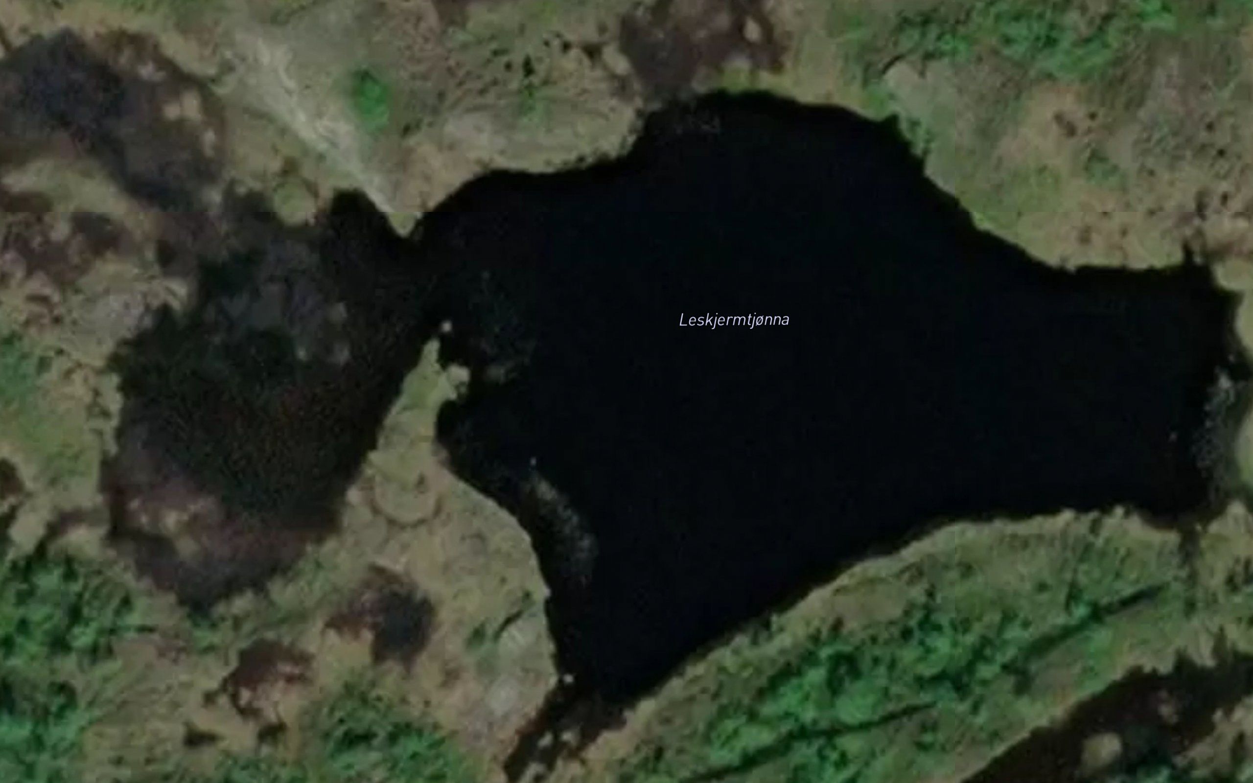 Leskjermtjorna