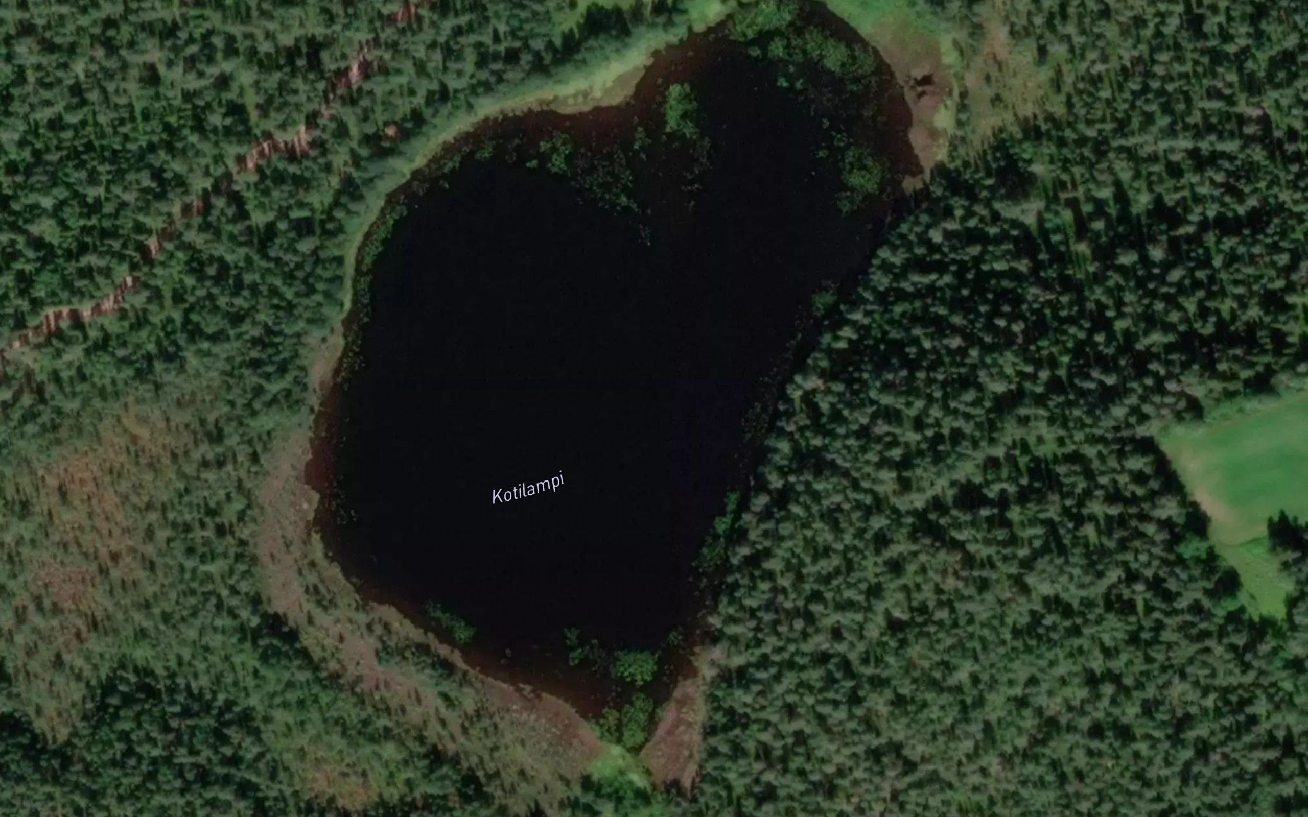 Kotilampi