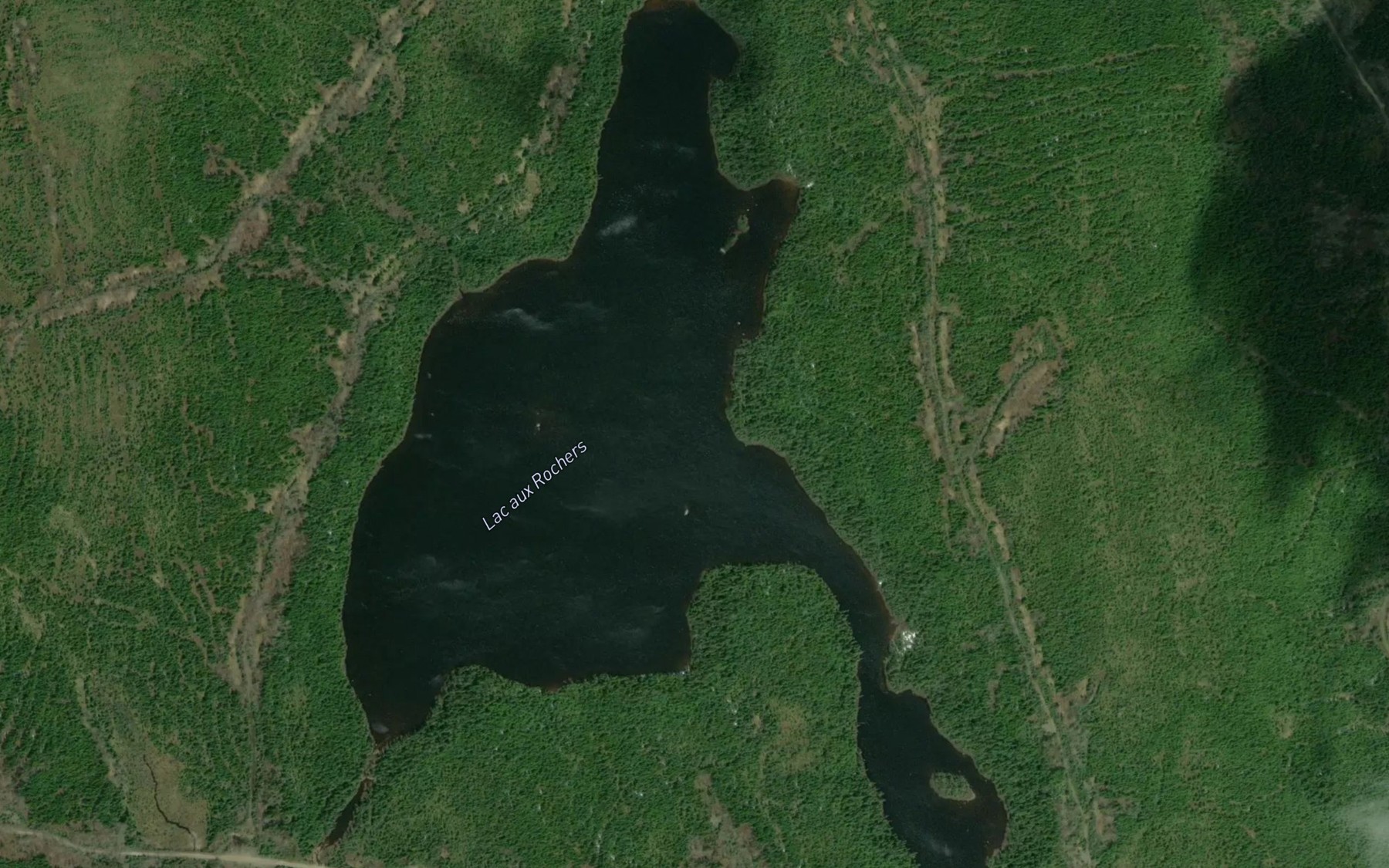 Satellite map of the Lac aux Rochers