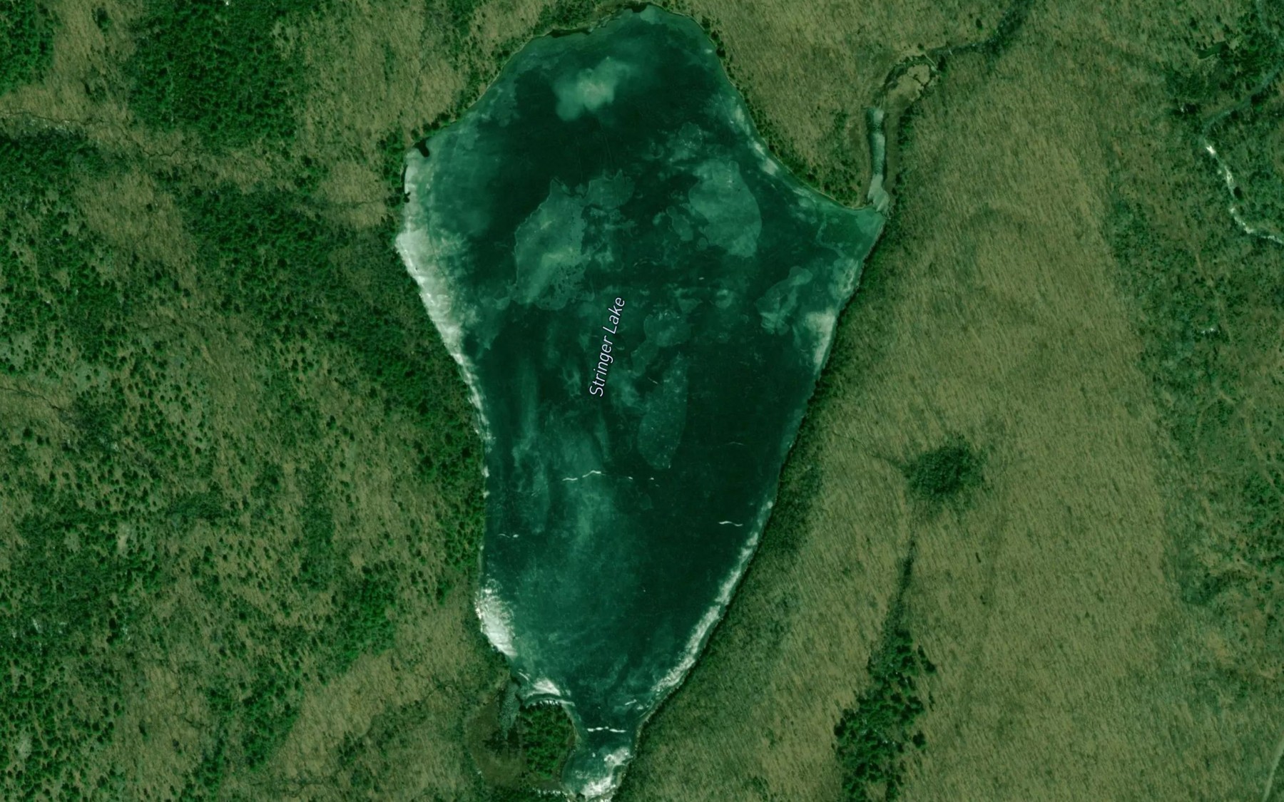 Satellite map of the Stringer Lake