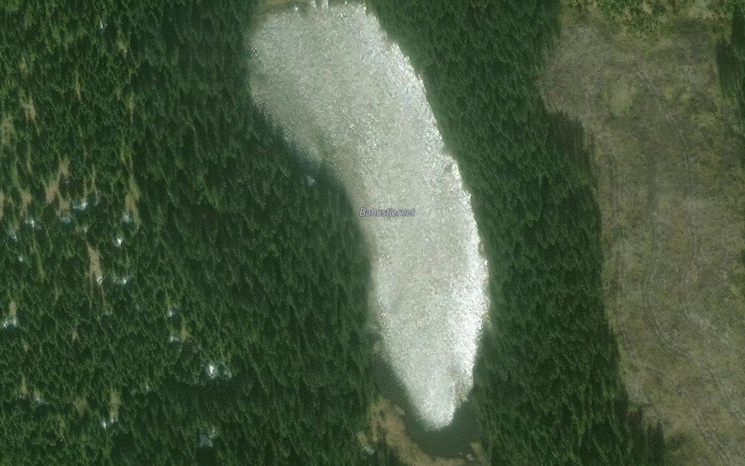 Bahustjernet