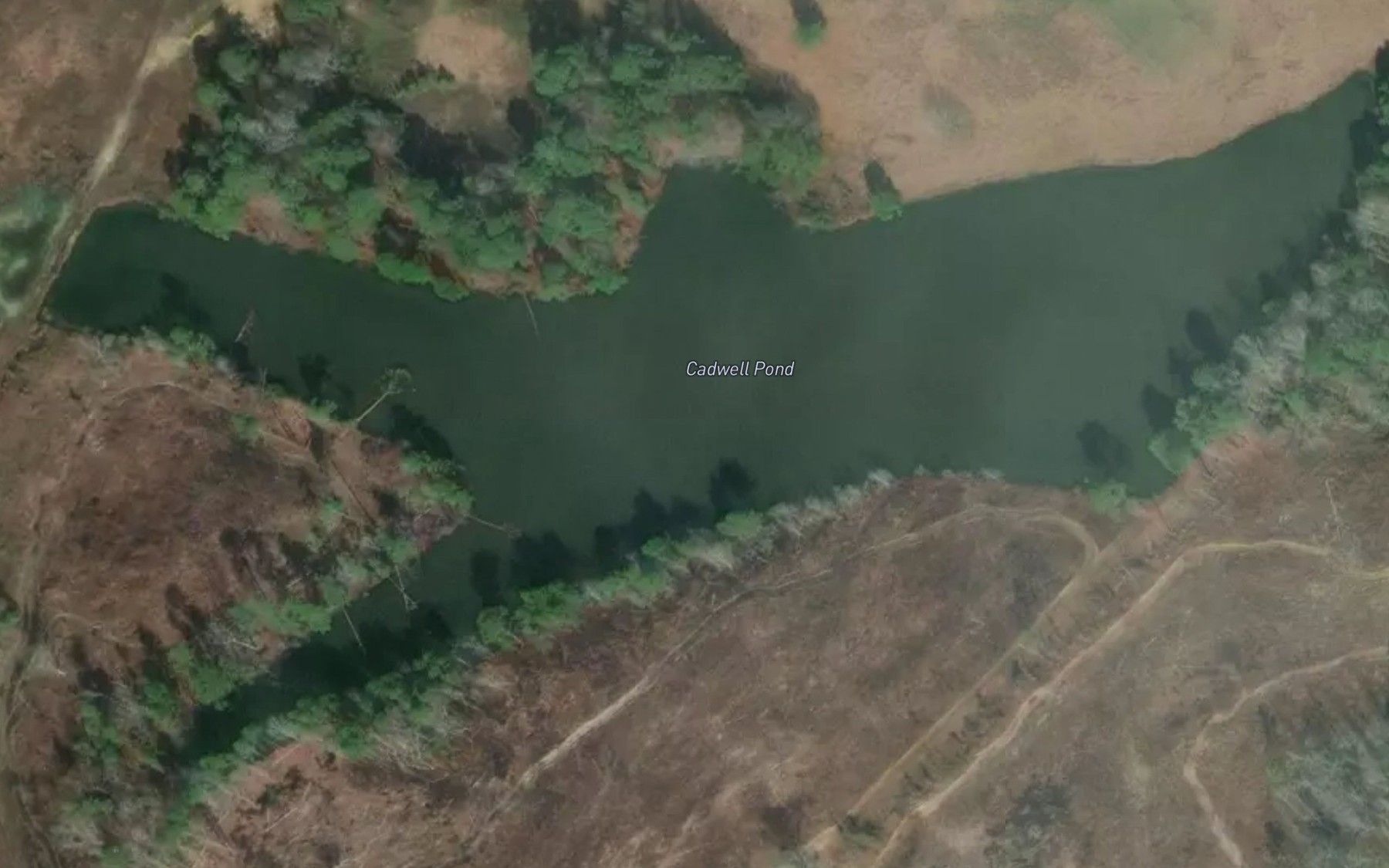 Satellite map of the Cadwell Pond