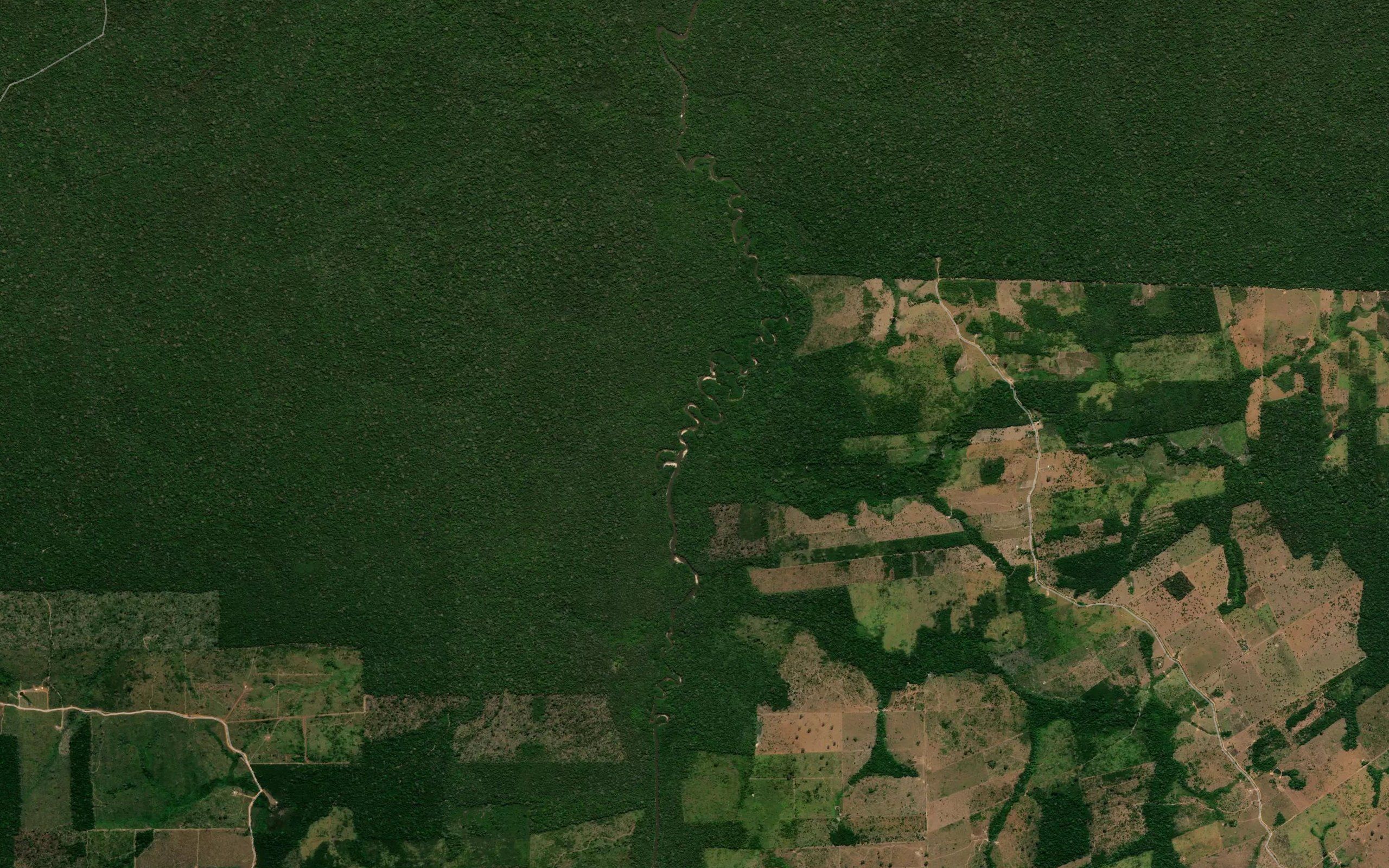 Igarape do Moacir