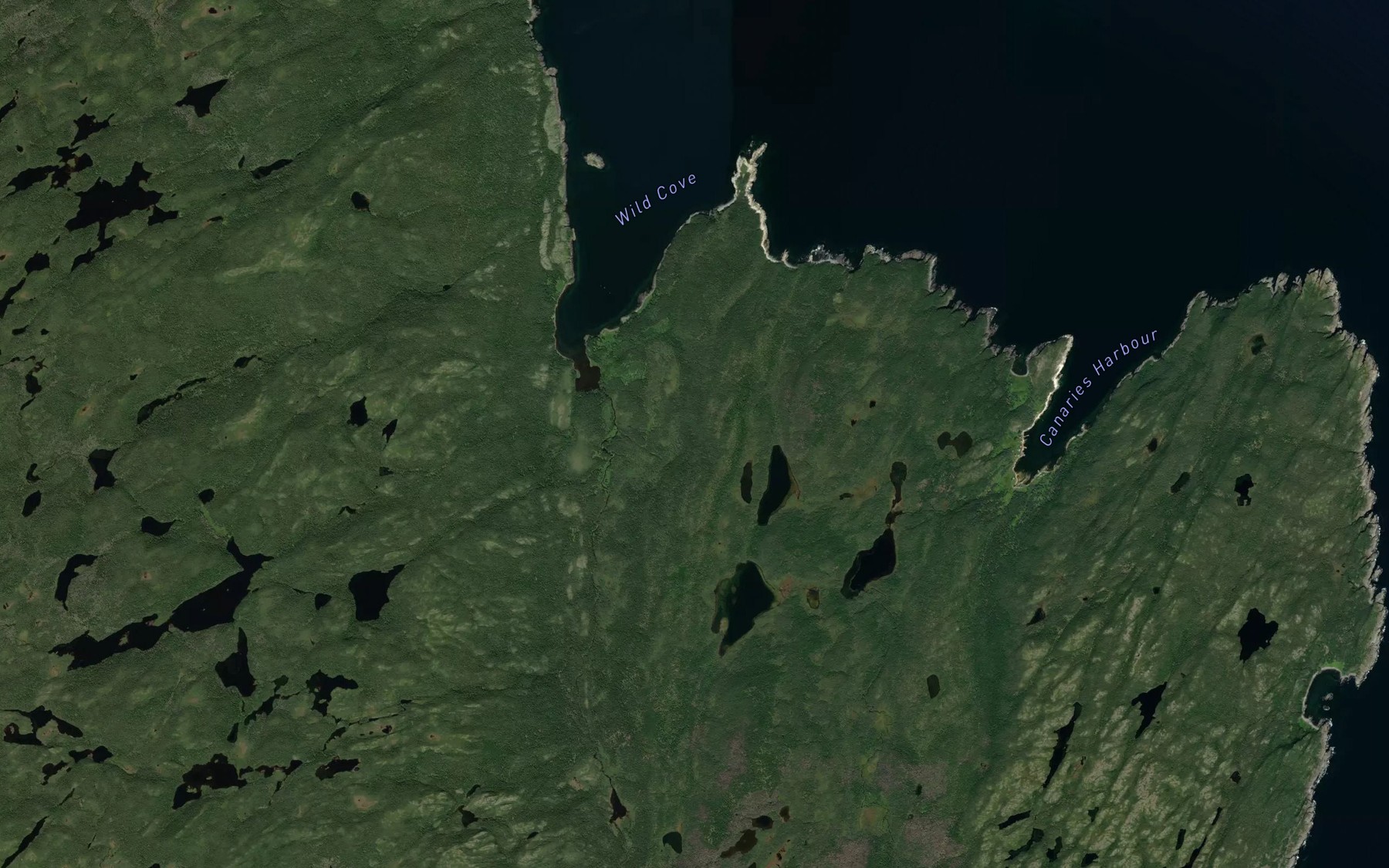 Satellite map of the Wild Cove