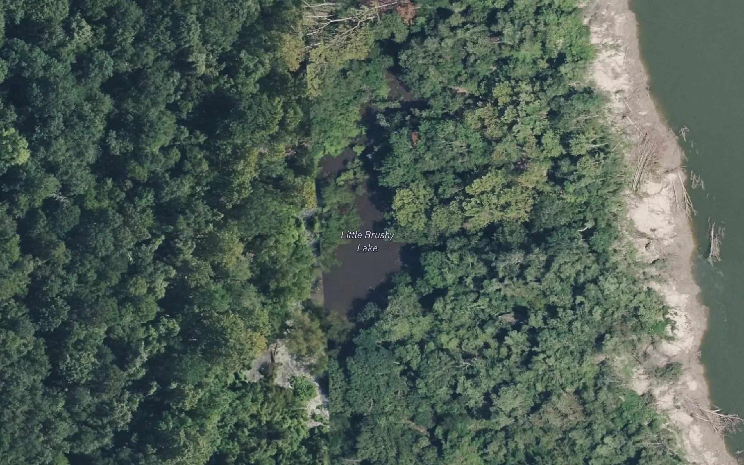 Little Brushy Lake