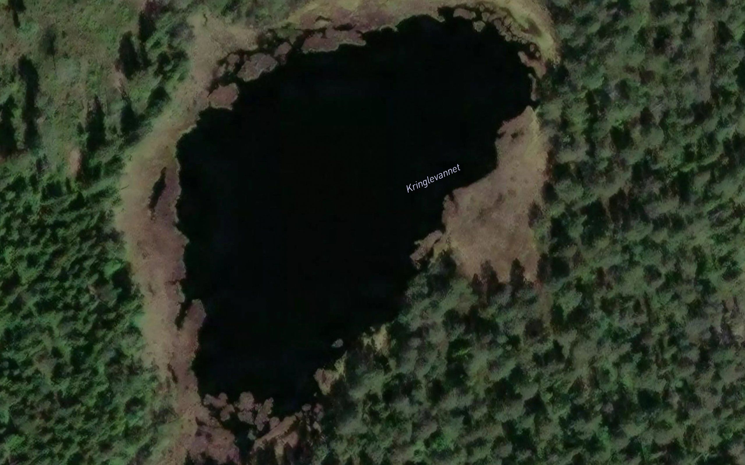 Kringlevann