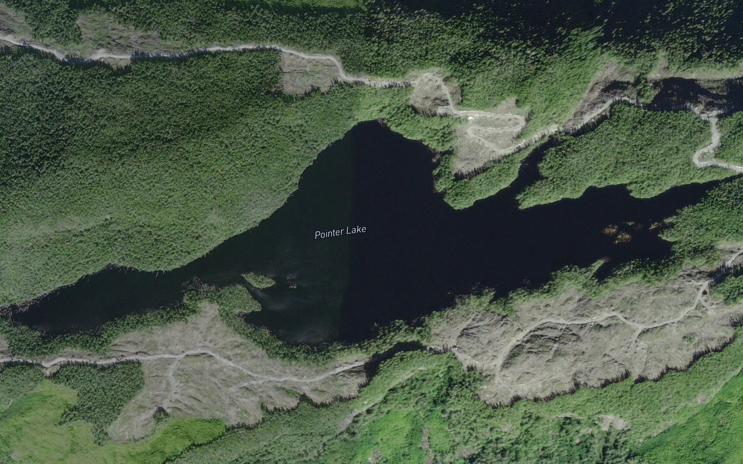 Pointer Lake