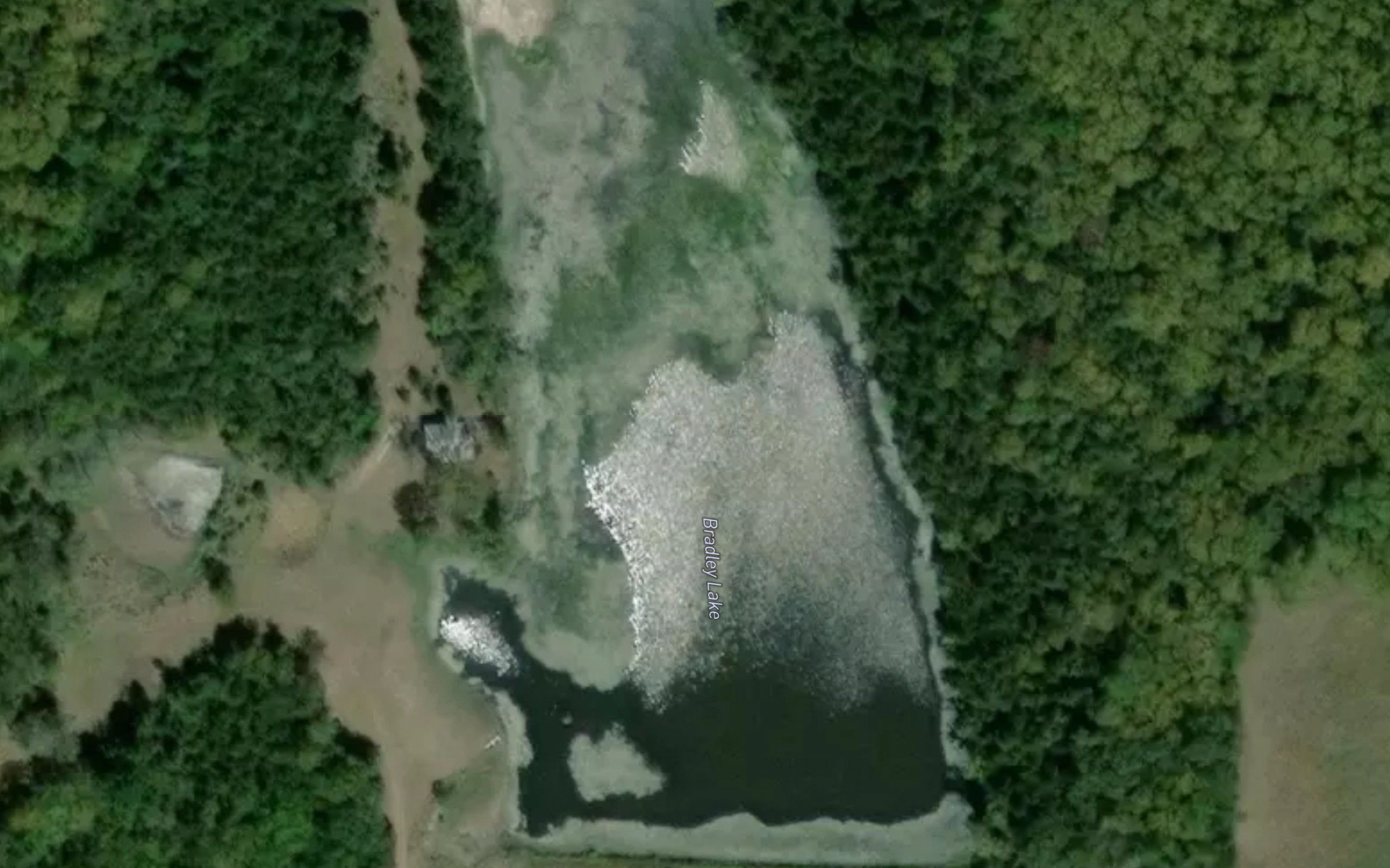 Bradley Lake