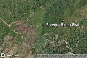 Redwood Spring