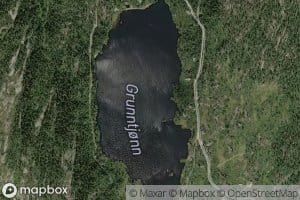Grunntjenn