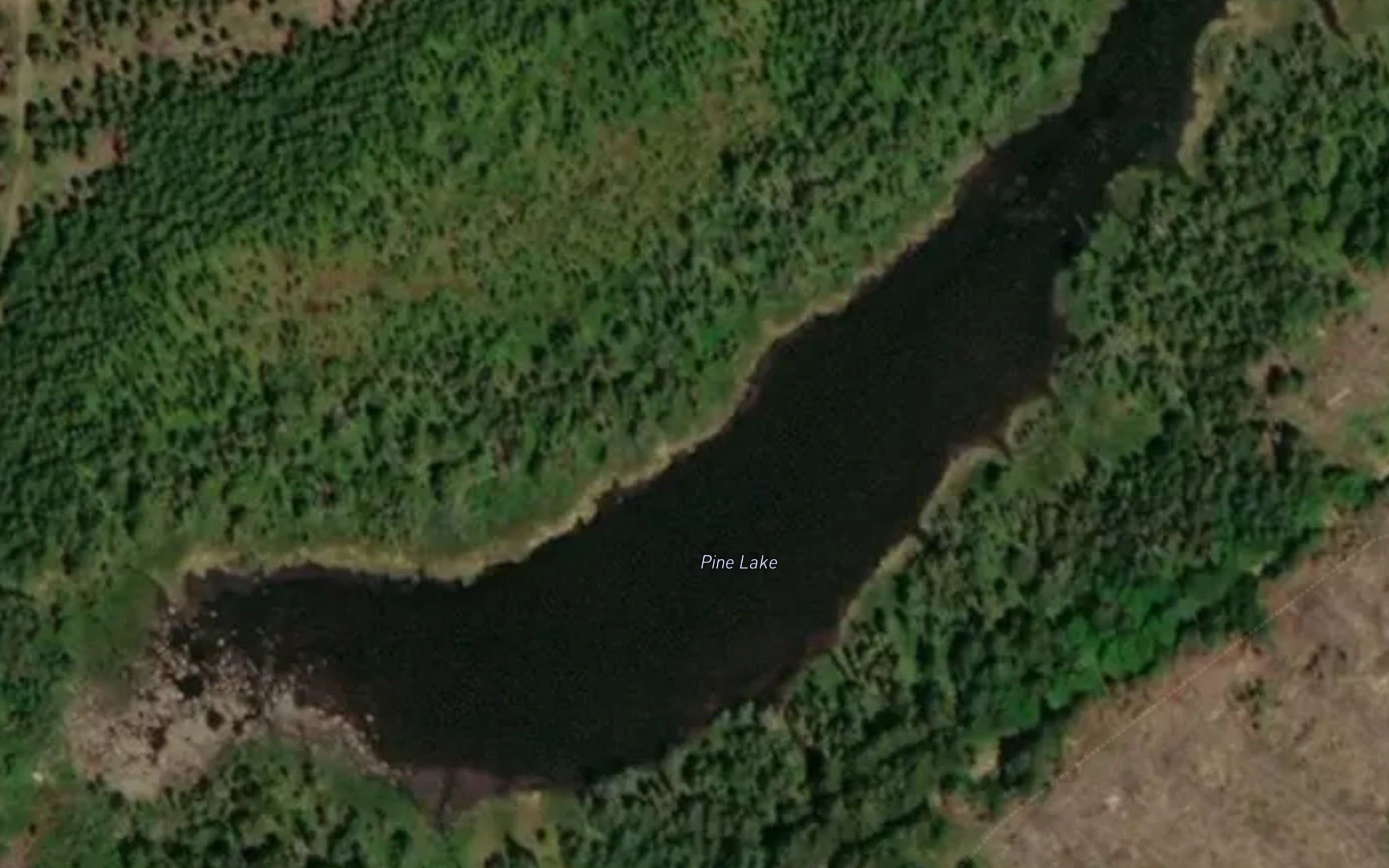 Pine Lake