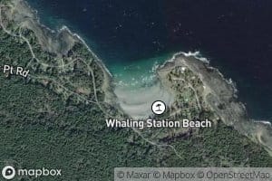 Whaling Station Bay