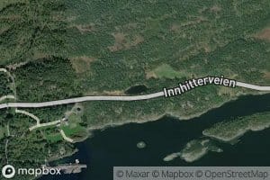 Batsviktjorna