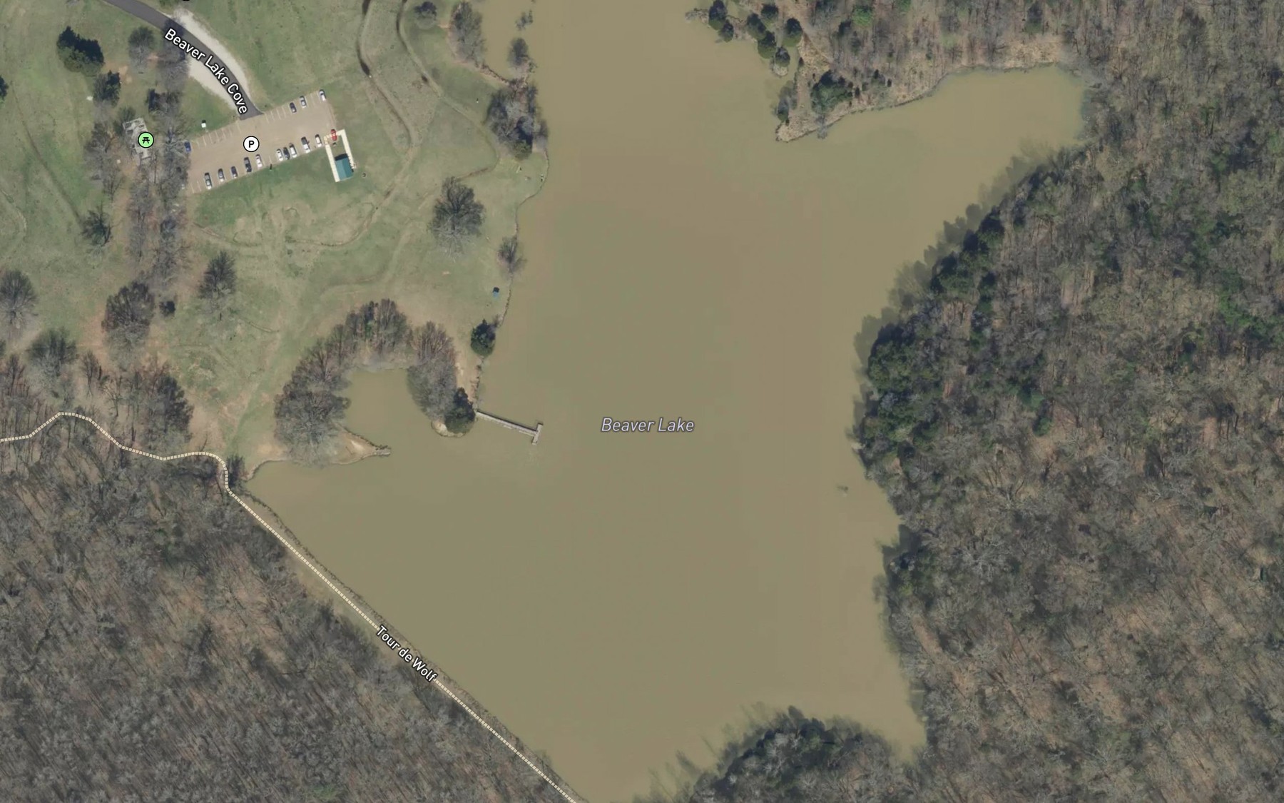 Satellite map of the Fishing pier