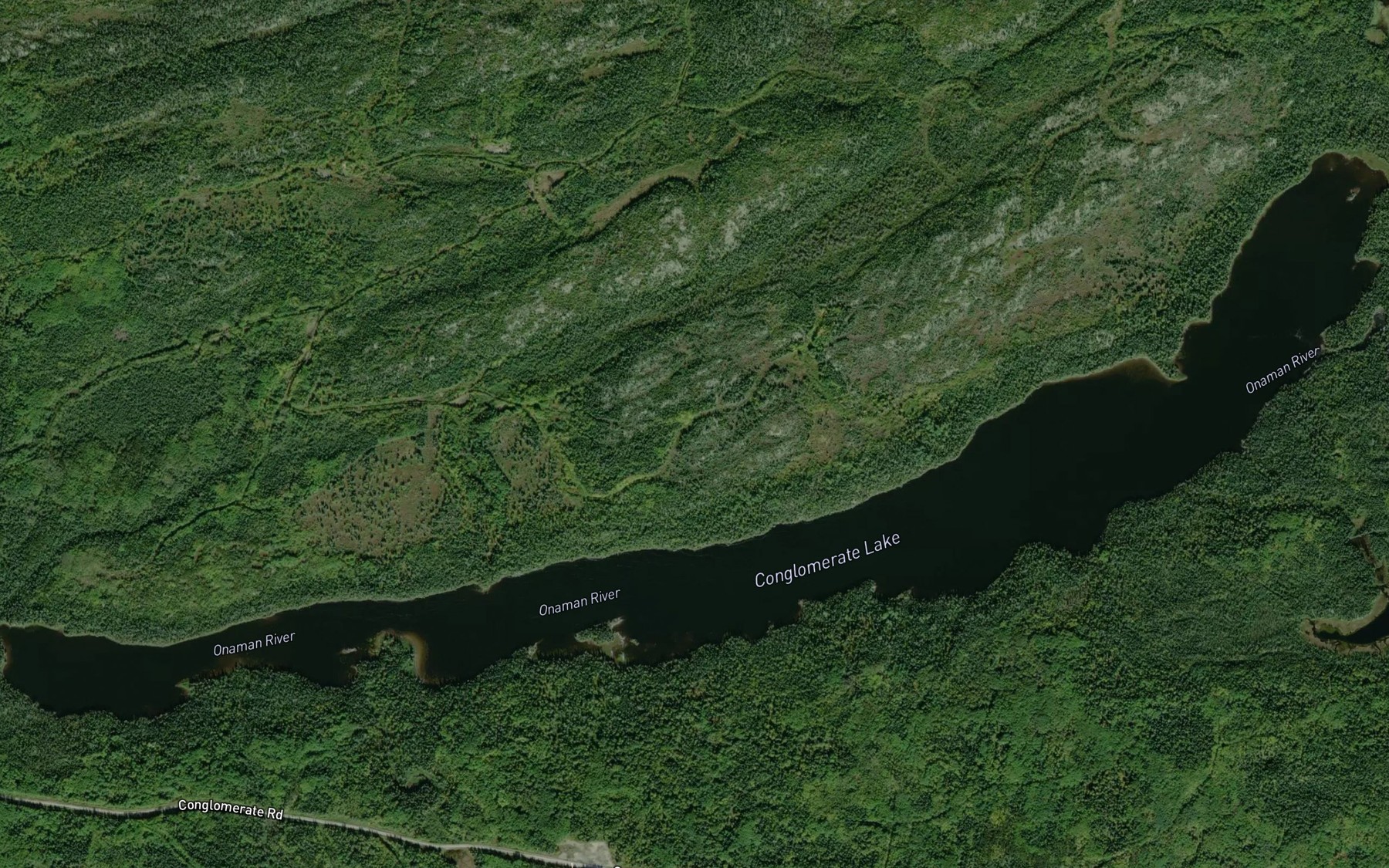 Satellite map of the Conglomerate Lake