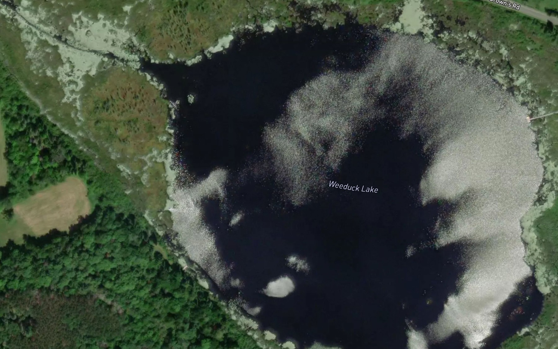 Satellite map of the Weeduck Lake
