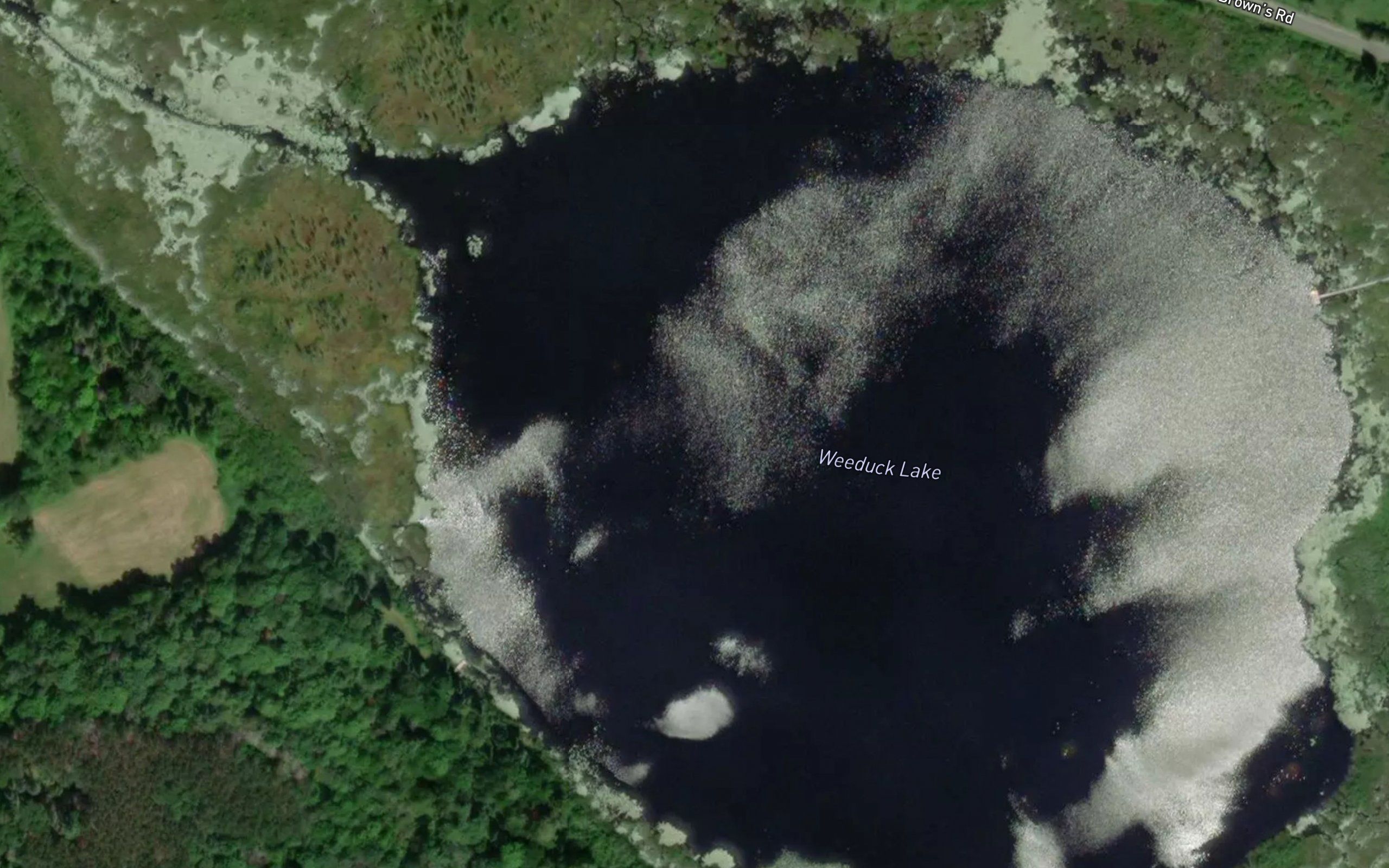 Weeduck Lake