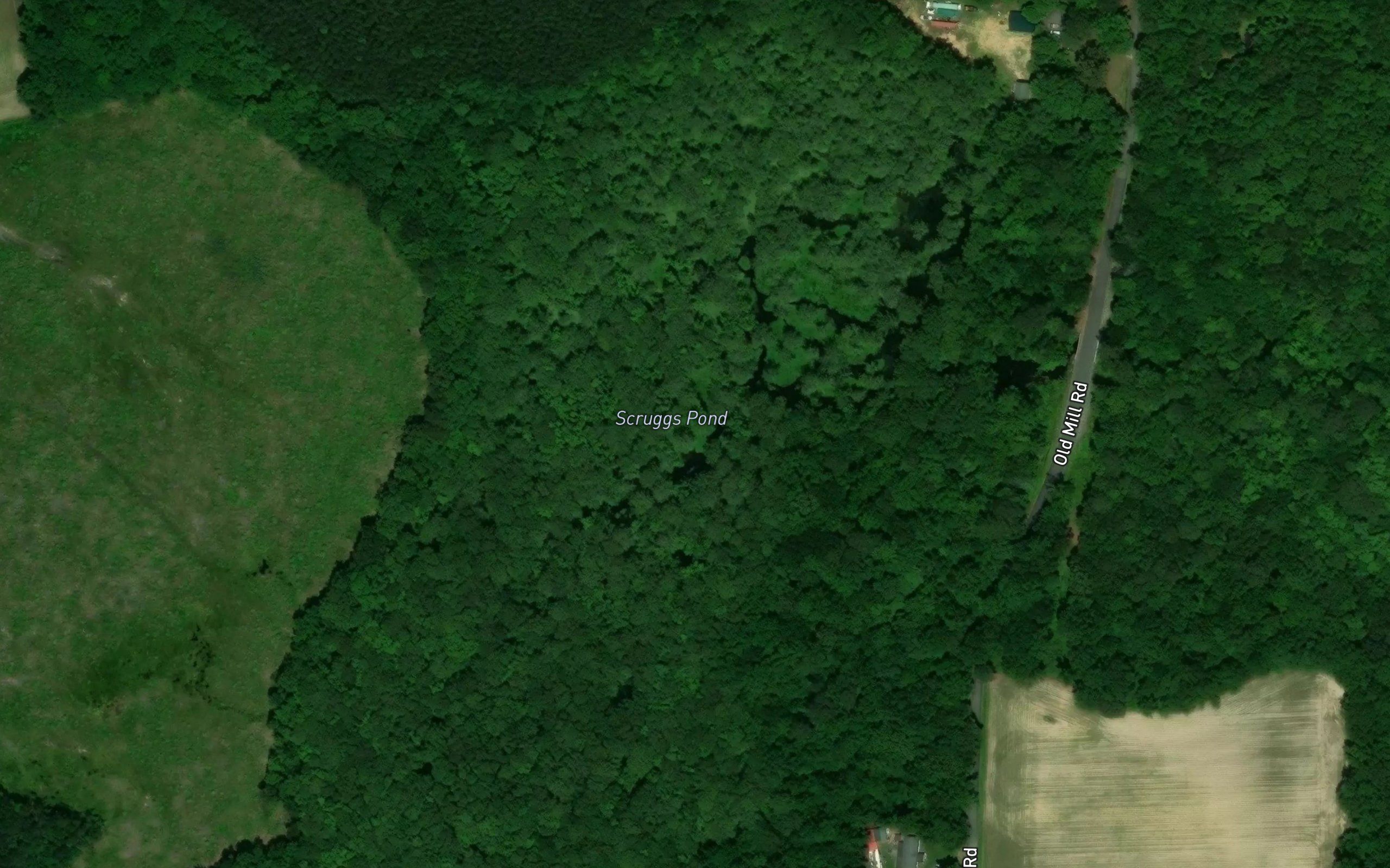 Scruggs Pond