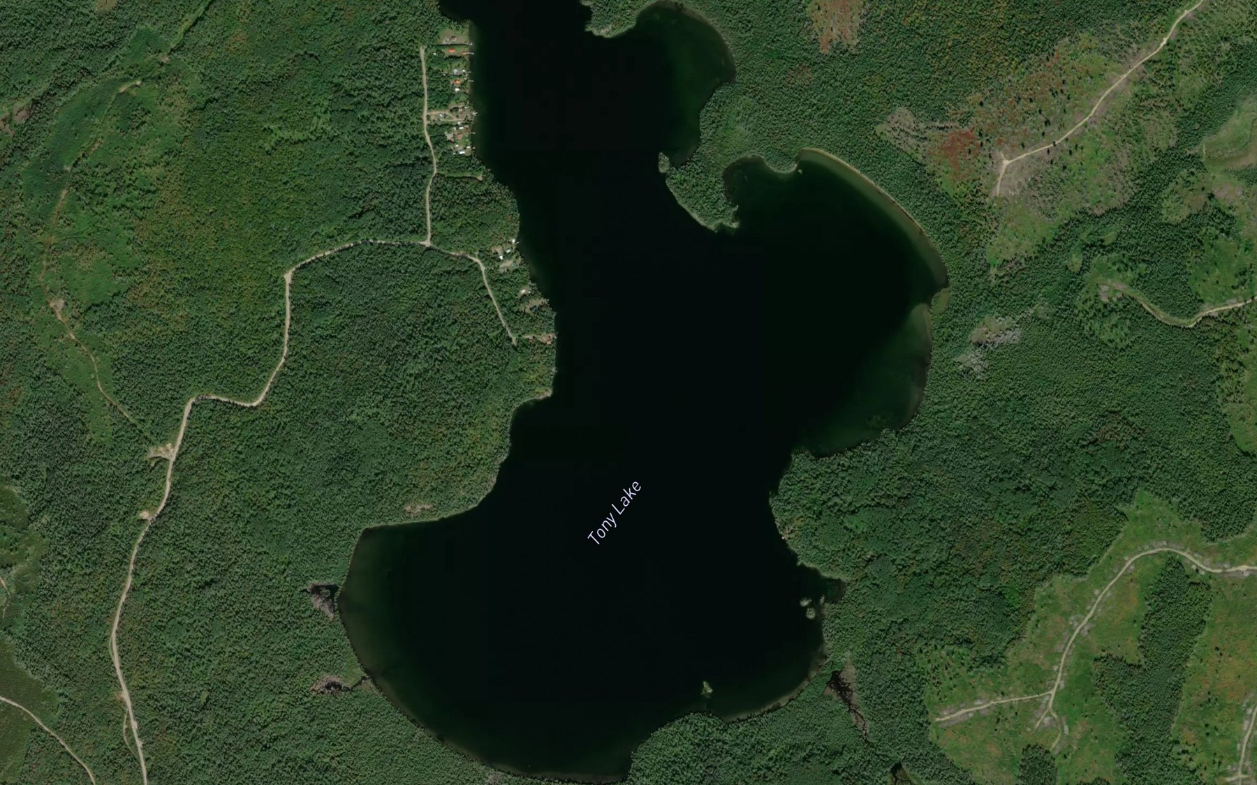 Satellite map of the Tony Lake