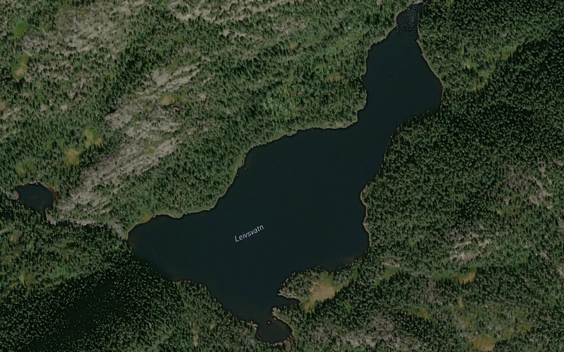 Satellite map of the Leivsvatn