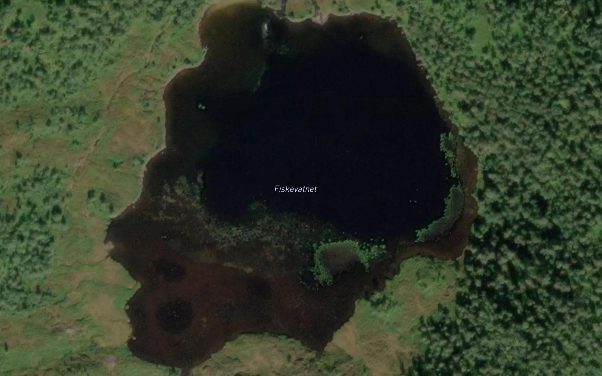 Fiskevatnet