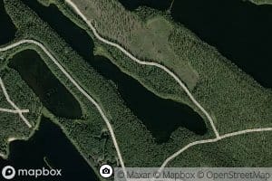 Pitkalahti