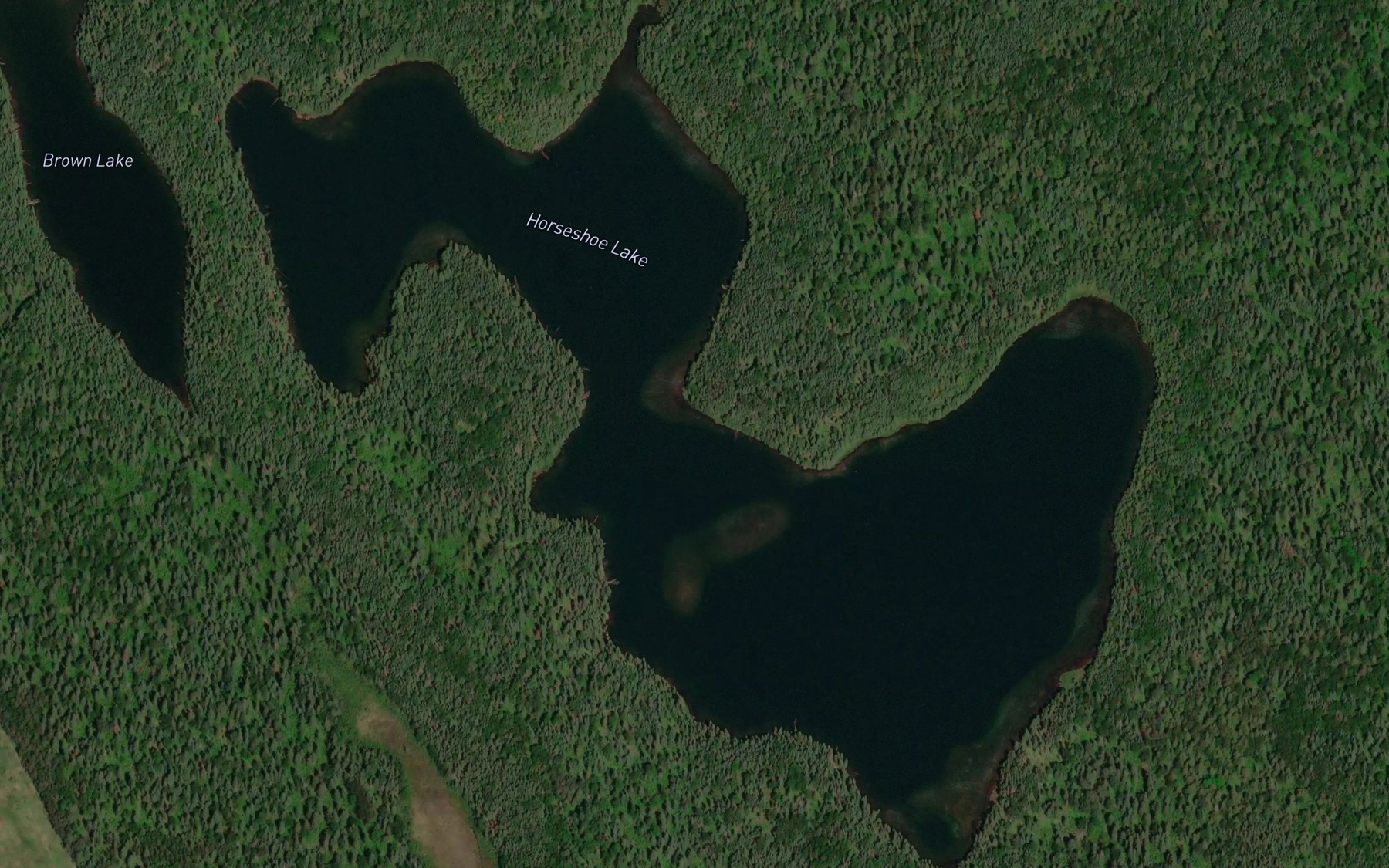 Satellite map of the Horseshoe Lake
