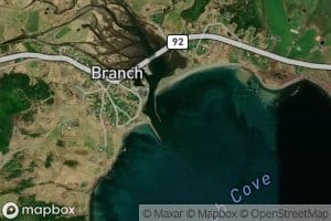 Branch Gut