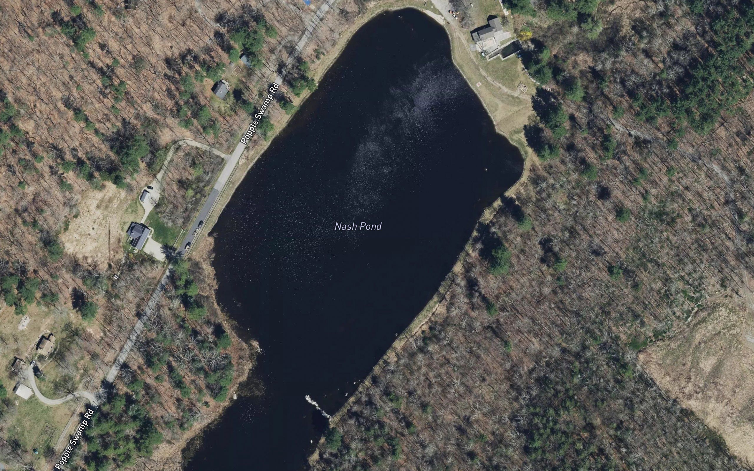 Nash Pond